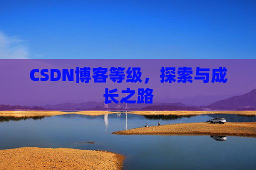 CSDN博客等级，探索与成长之路